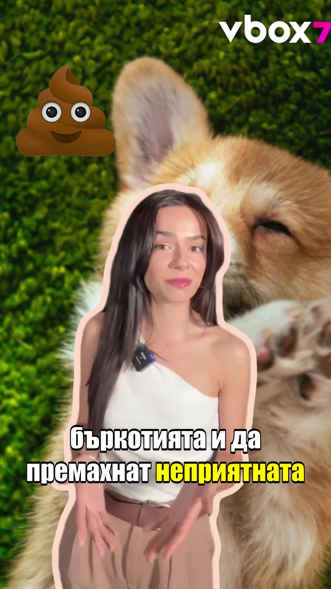 Полет беше отменен, заради КУЧЕШКО 💩
