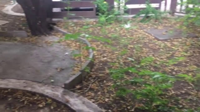 Хотел на открито
