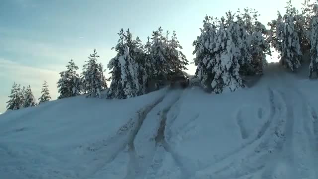 Бмв Х6 се доказва в гората 