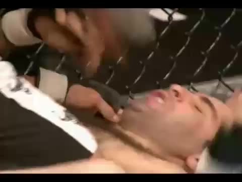 Mma/ufc Knockouts