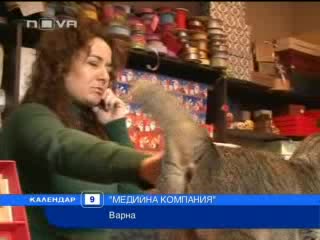 Котка охранява магазин за подаръци 