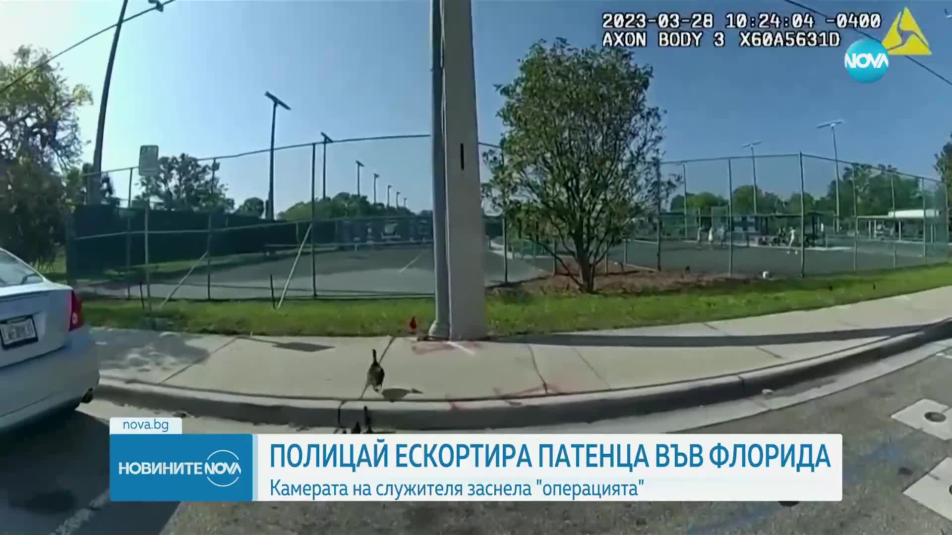 Полицай ескортира патенца през опасна улица във Флорида