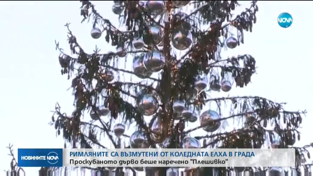 РИМЛЯНИТЕ ВЪЗМУТЕНИ: Коледната елха в града – проскубана