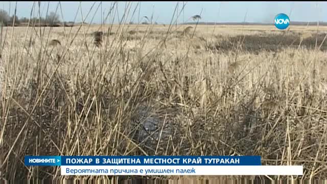 Пожар край Тутракан