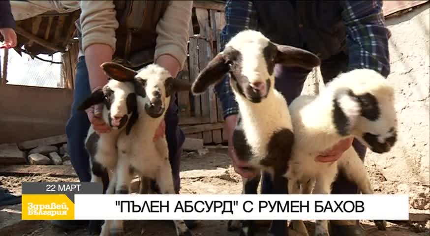 В „Здравей, България” на 22 март очаквайте