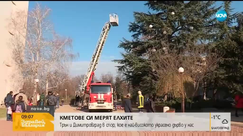 Трън и Димитровград в спор, кое е най-високото украсено дърво у нас