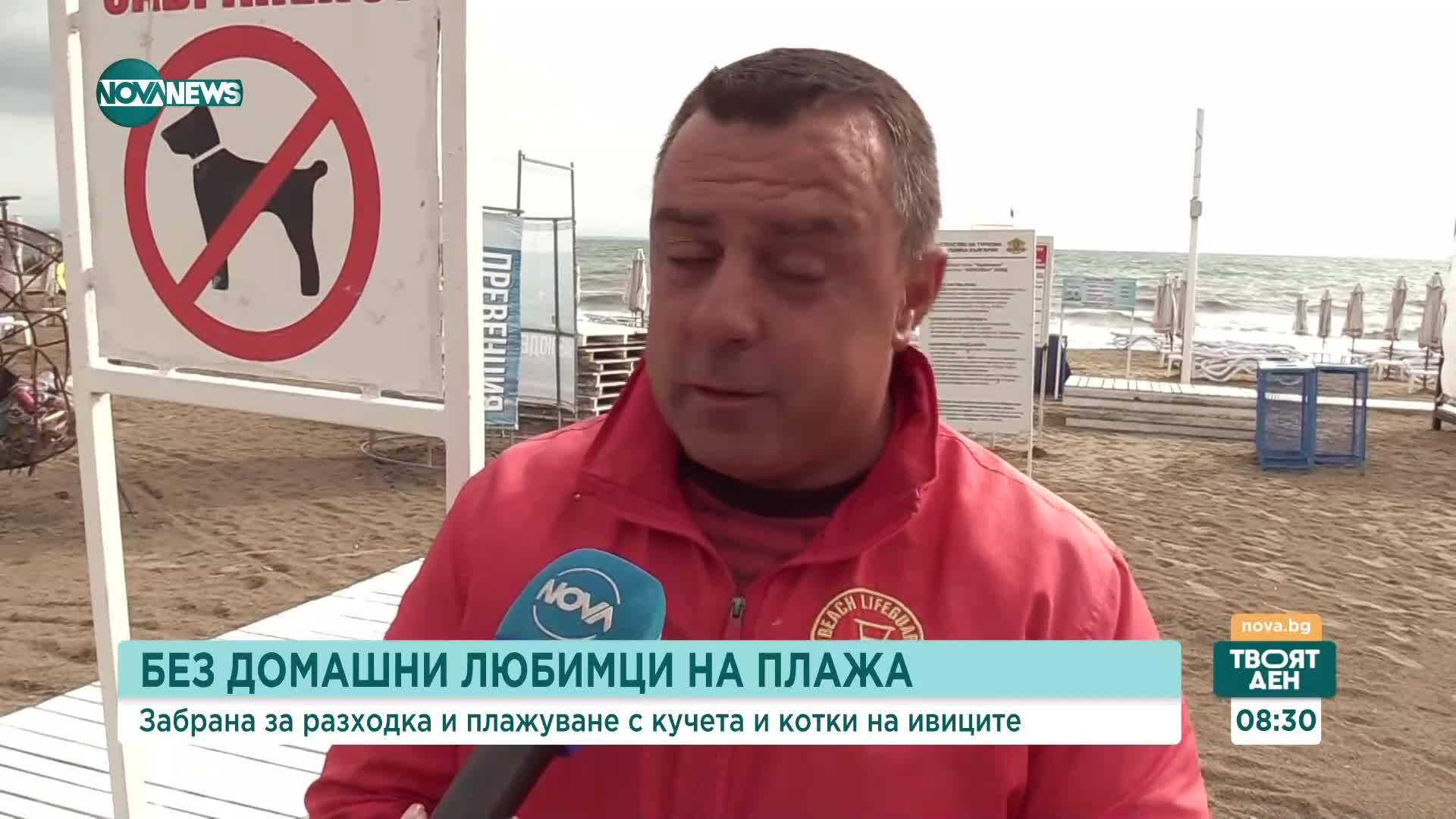 Напомнят за забраната да се плажува с домашни любимци по Черноморието
