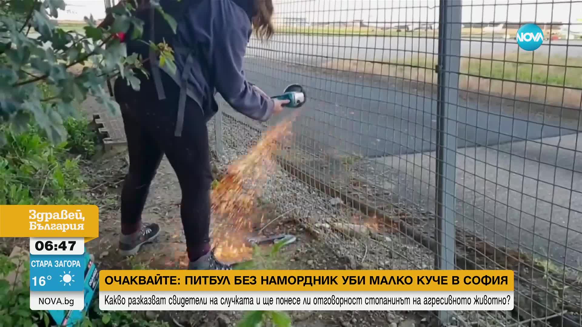 Екоактивистки напръскаха с боя частния самолет на Тейлър Суифт
