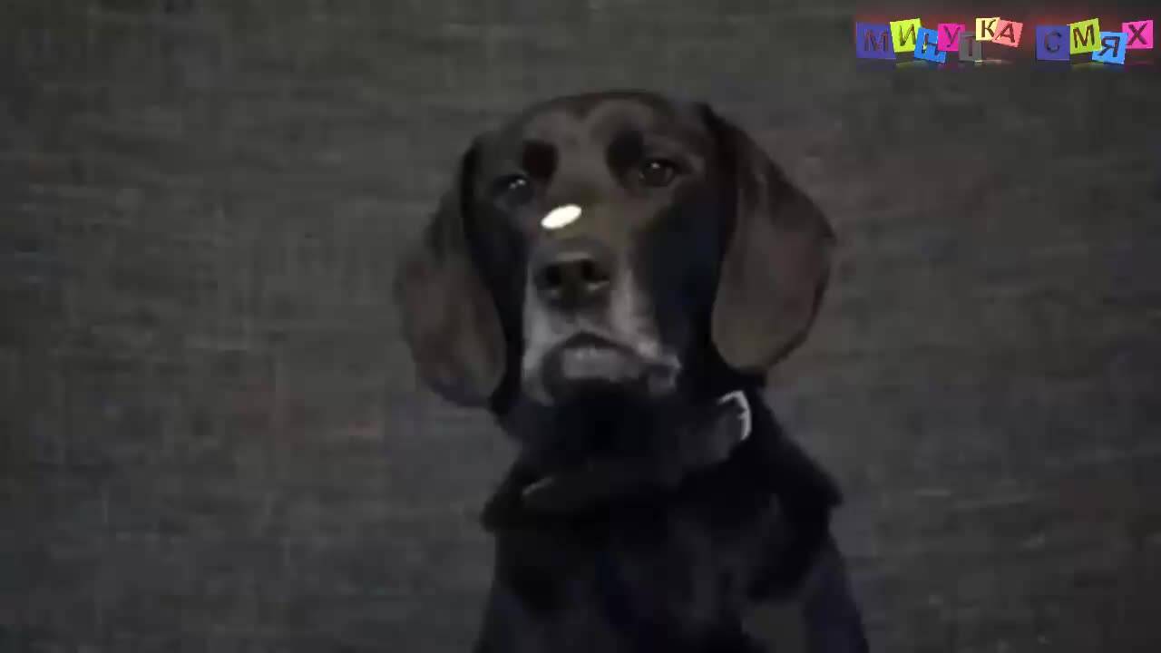 Да се пръснеш от смях с Минутка изцепки!