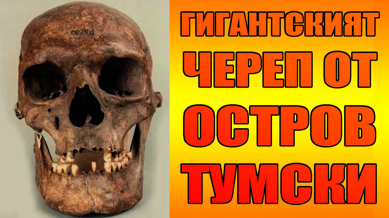 Гигантският череп от остров Тумски