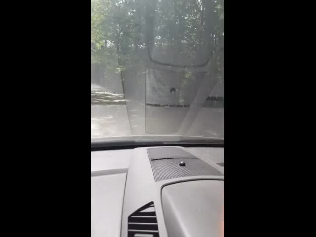 Път... без път