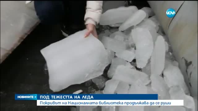 Новините на NOVA (04.02.2017 - централна емисия)