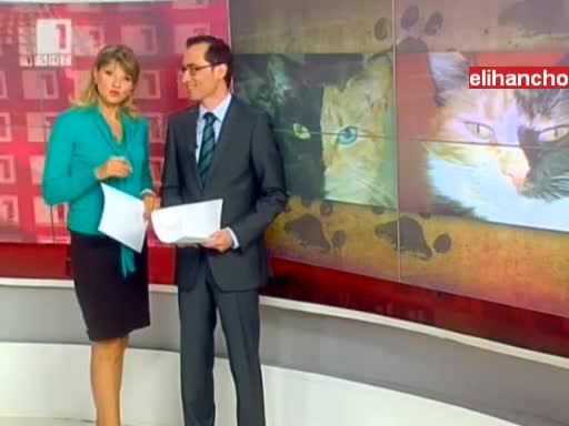 Котка с две лица и в Плевен !