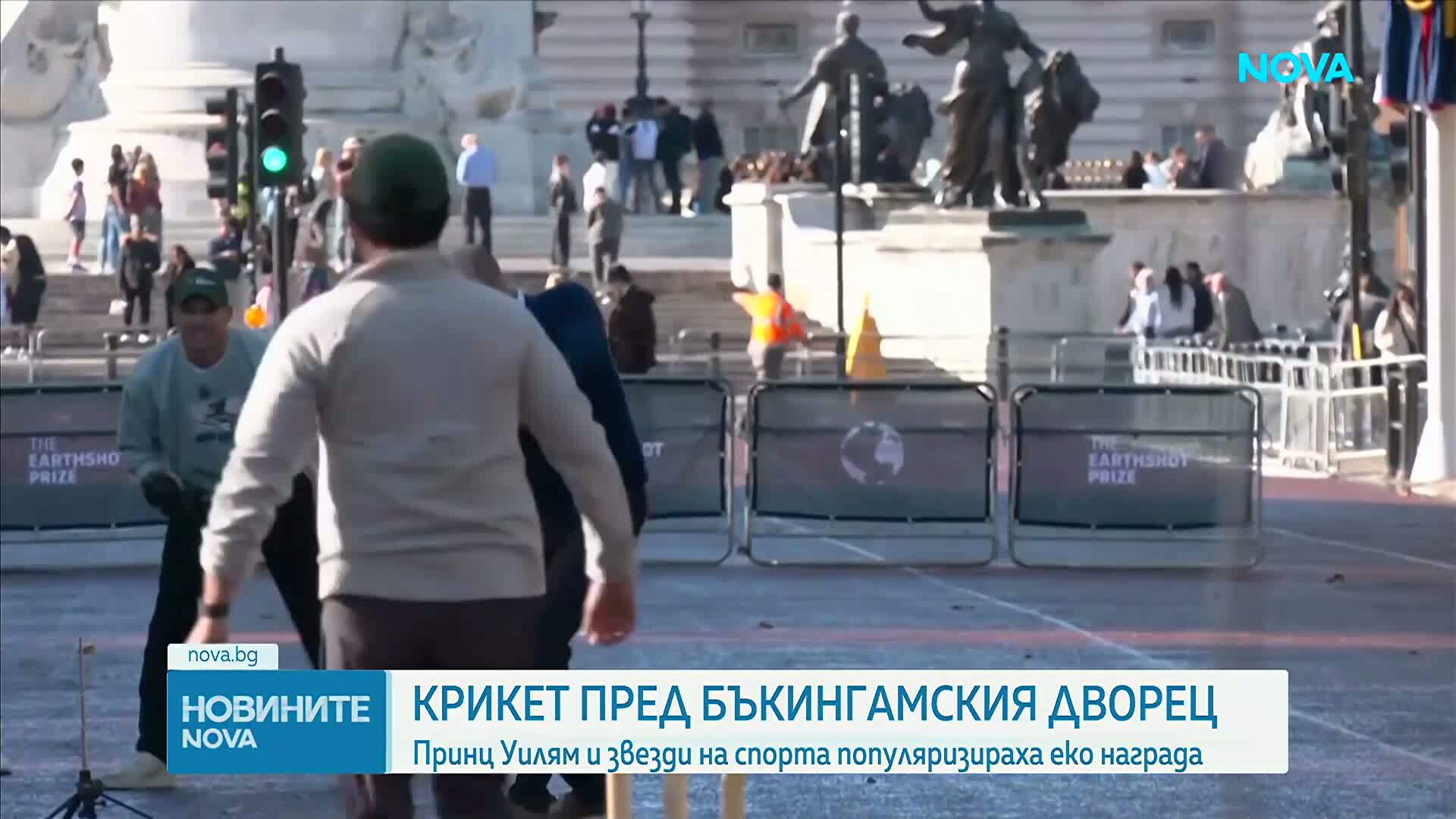 Принц Уилям спря движението пред Бъкингамския дворец за игра на крикет