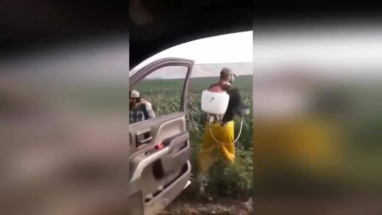 Супер смешна компилация с изцепки