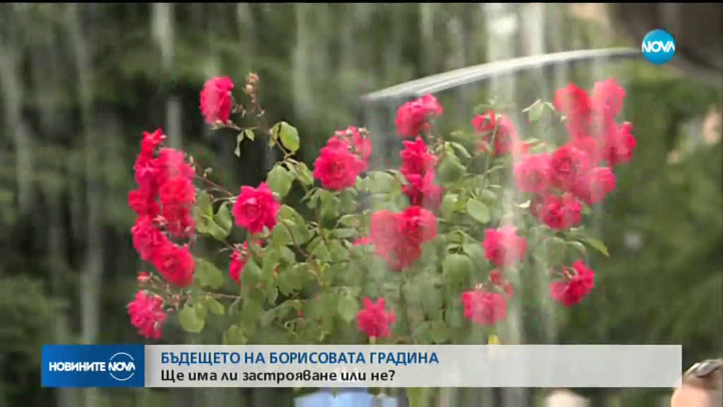 Бъдещето на Борисовата градина: Ще има ли застрояване или не?