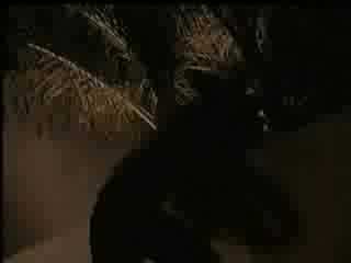 Cypress Hill - When The Ship Goes Down