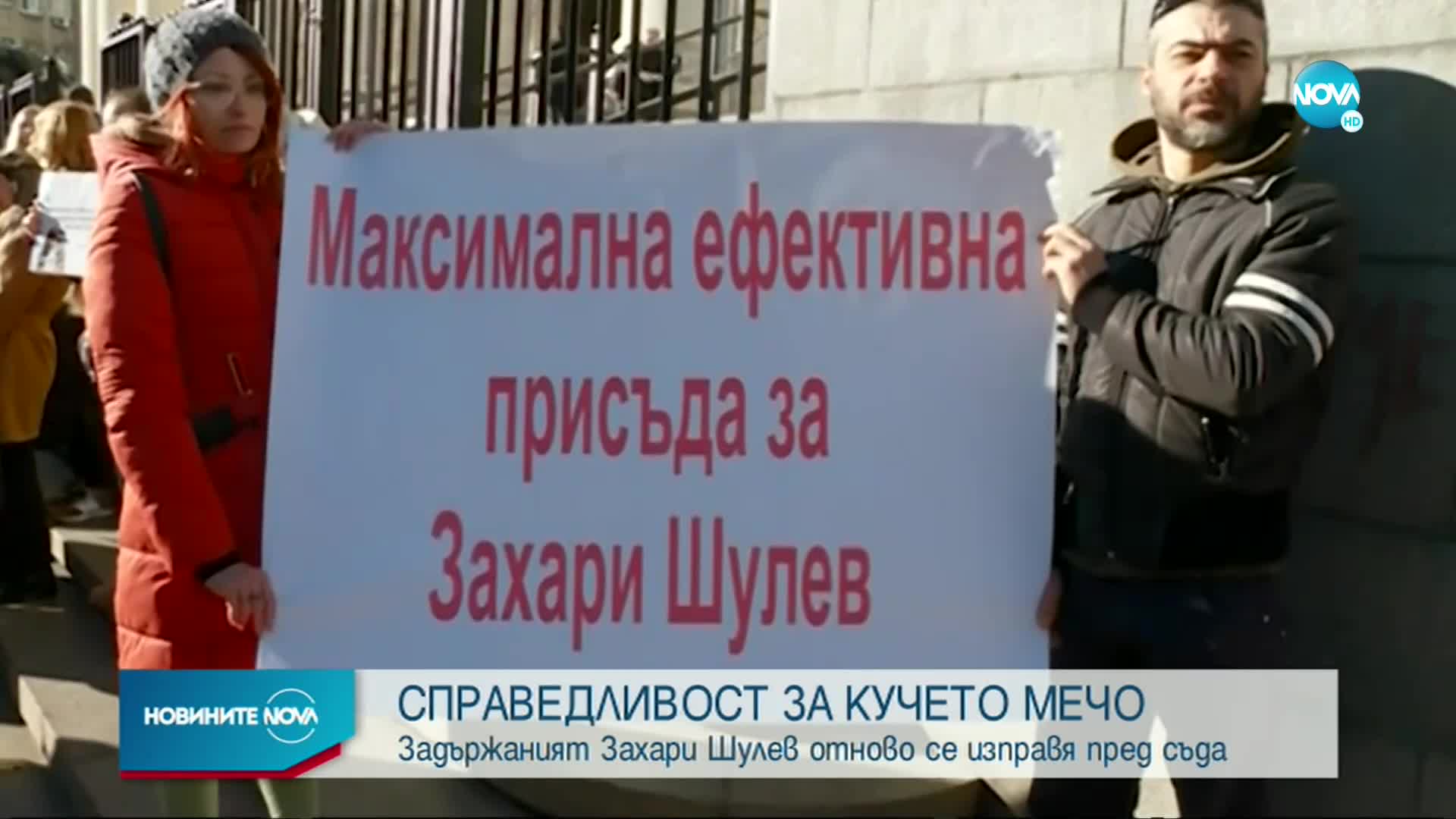 Агресията към кучето Мечо: Решават за ареста на задържания