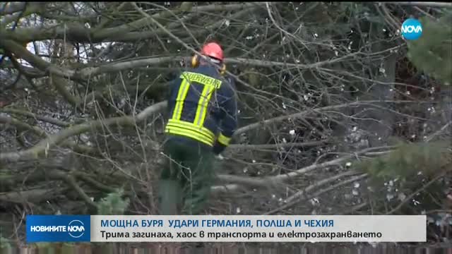 Новините на NOVA (29.10.2017 - централна емисия)