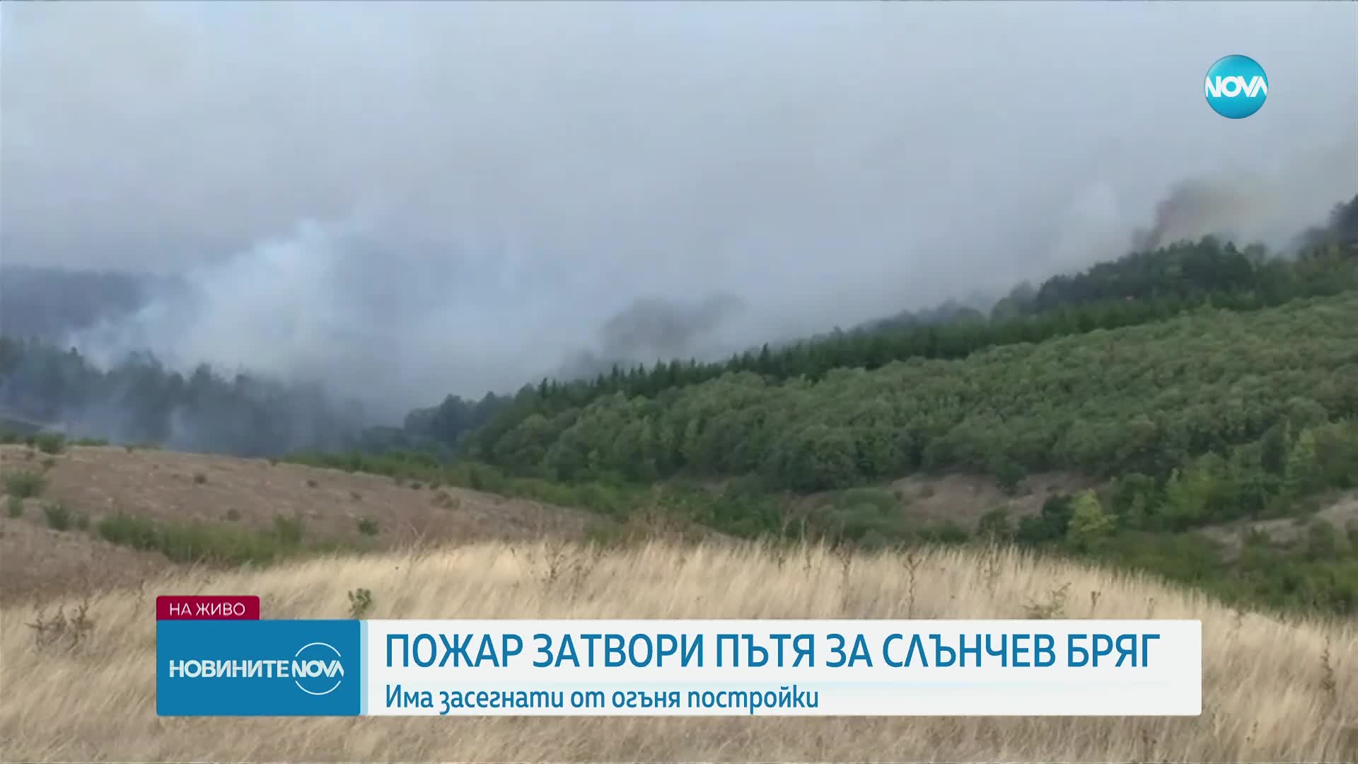Пожар затвори пътя към Слънчев бряг, гори гора край бургаски села
