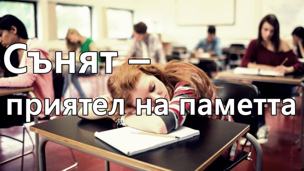 Сънят – приятел на паметта