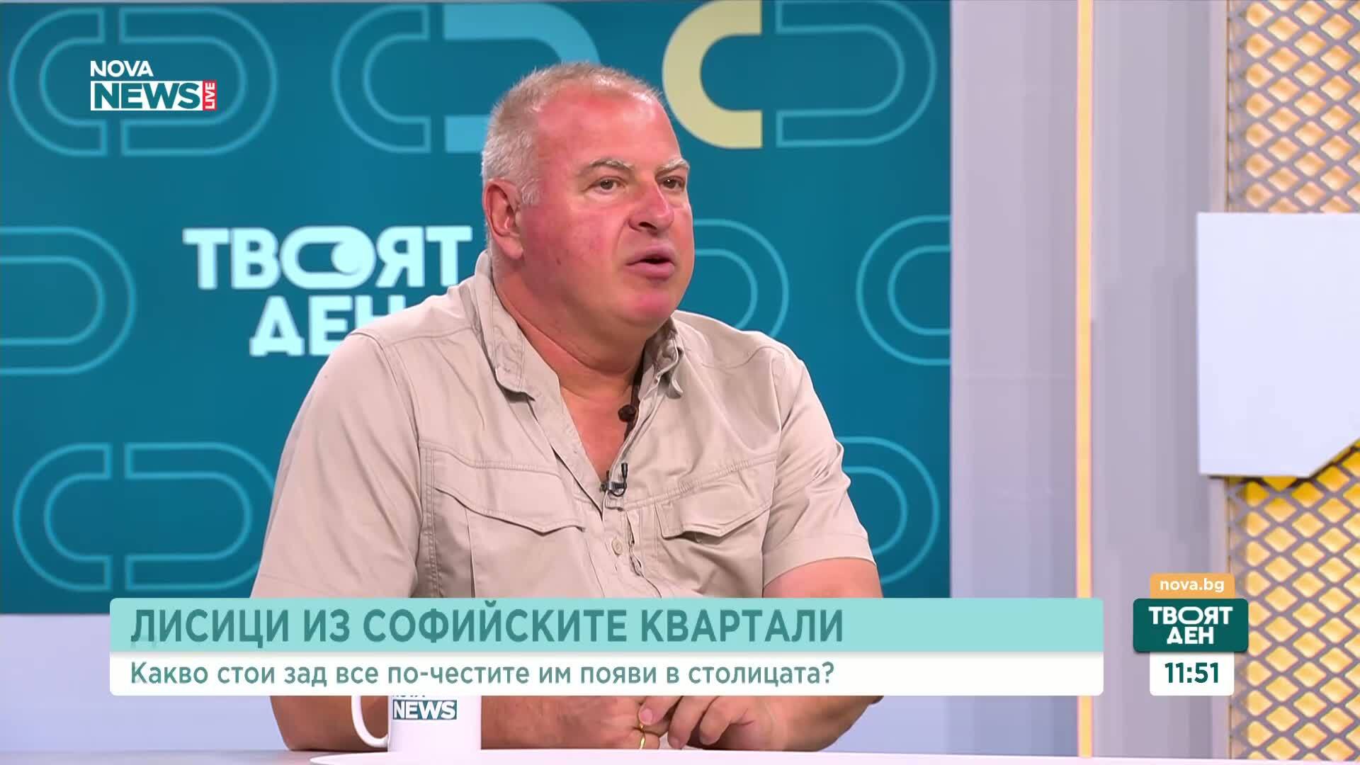 Лисиците стават все по-чести гости в столичните квартали
