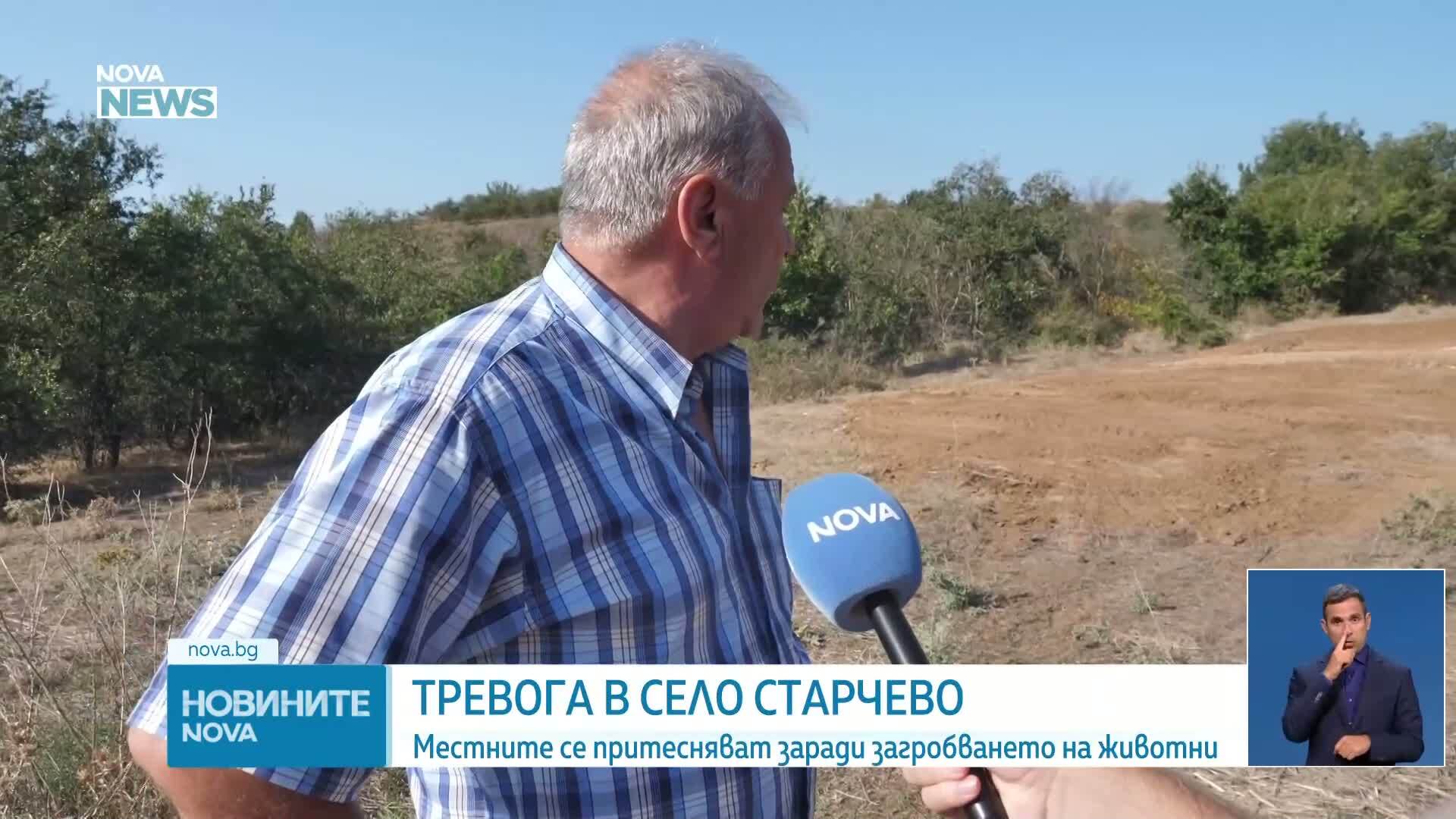 Тревога в Петричко заради загробени животни в землището на селото
