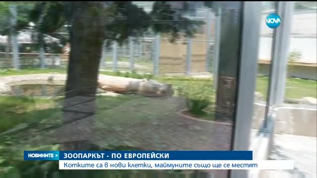Столичният зоопарк - по европейски