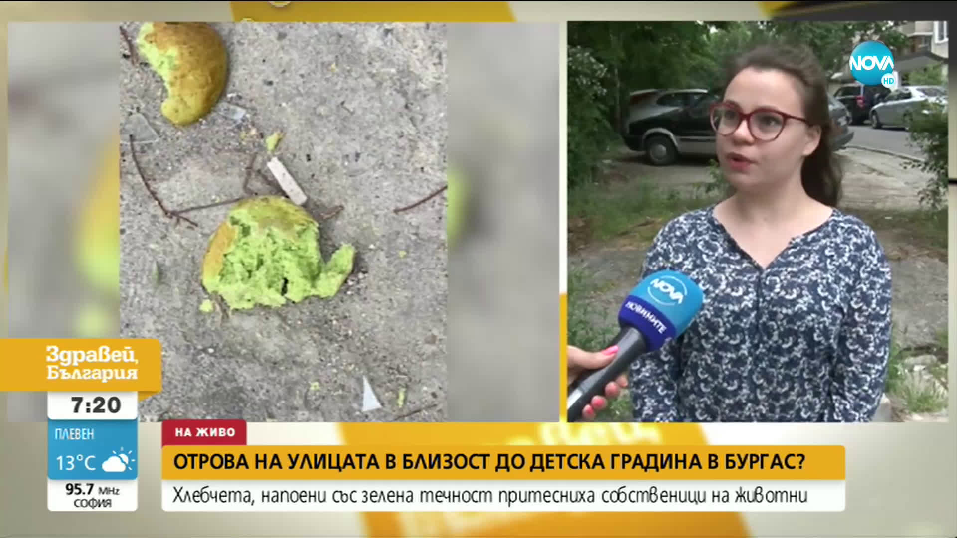 Отрова на улицата в близост до детска градина в Бургас?