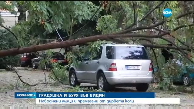 "Моята новина": Дърво смаза кола след силна буря във Видин - късна емисия