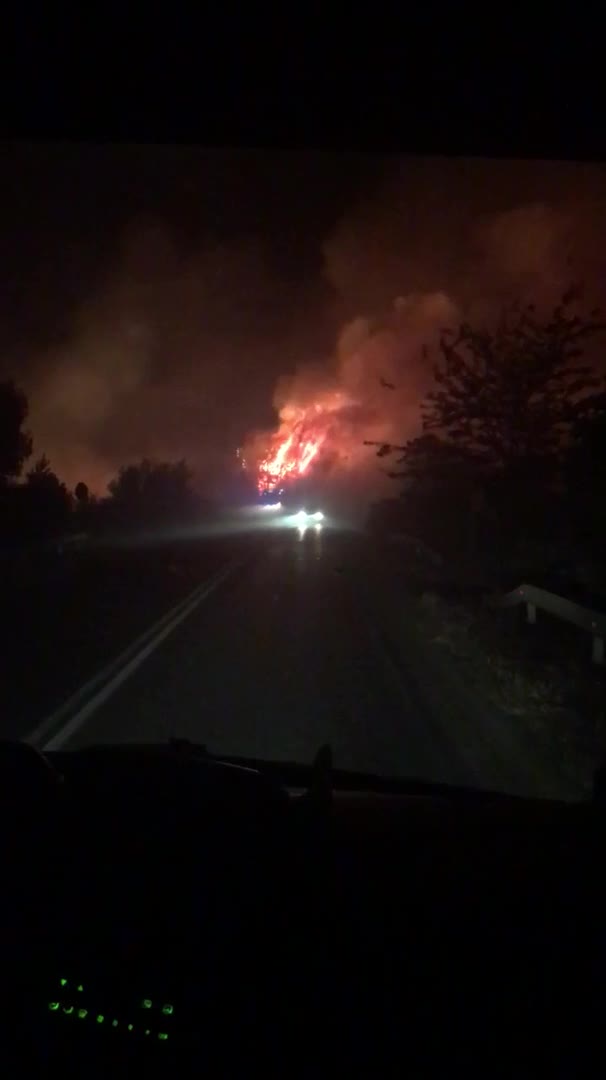 Пожар между Плевен и Луковит