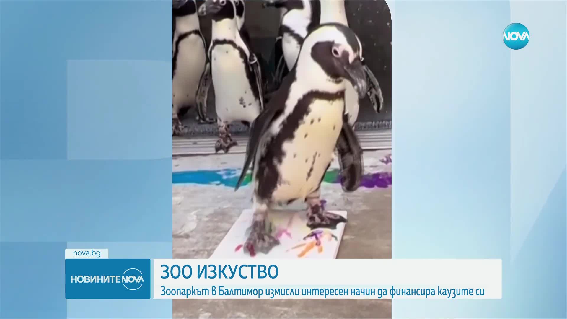 Животните в зоопарка в Балтимор рисуват картини с кауза (ВИДЕО)
