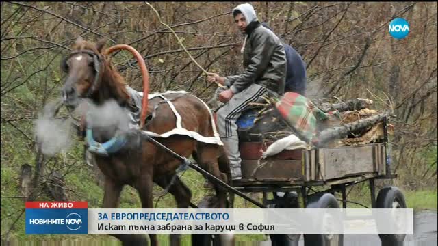 Новините на NOVA (23.10.2017 - централна емисия)