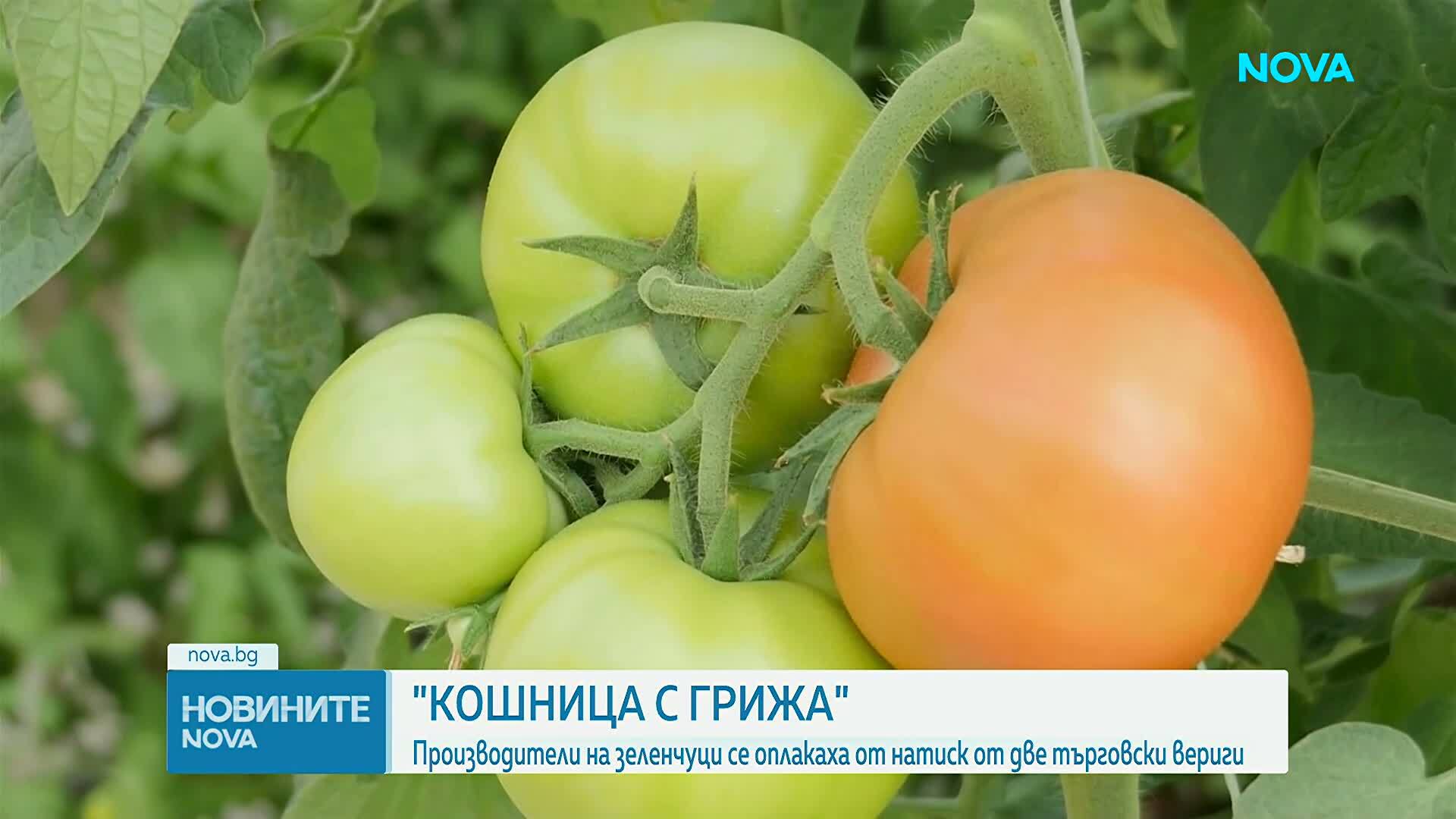 Новините на NOVA (11.06.2026 - 8.00)