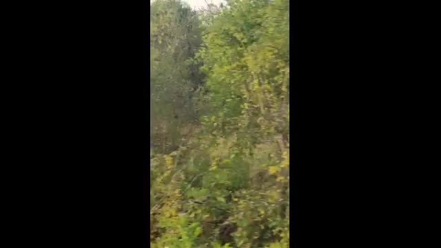 Пожар около Долна Баня