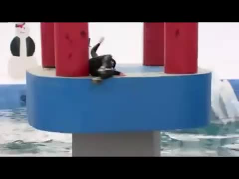Най - доброто от Wipeout Season 4 - Много Смях ! 