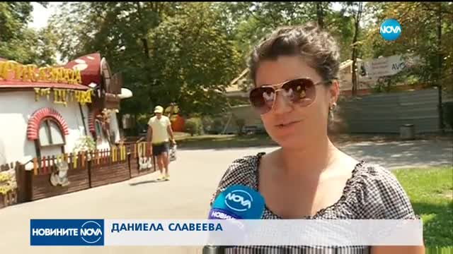 ИЗМАМА: Появиха се листовки за безплатен градски транспорт в София