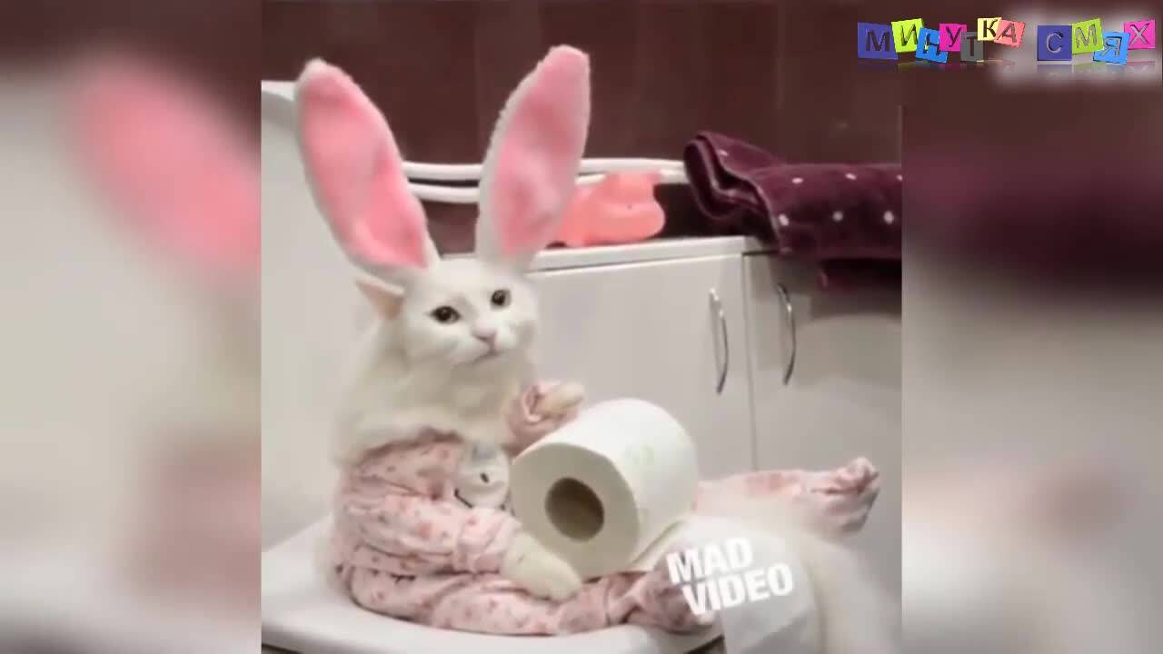 Изпълнения, които няма къде да видиш! - Минутка смях