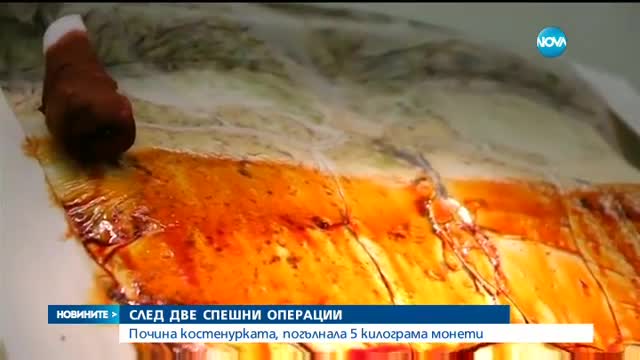 Почина костенурката, която погълна 5 килограма монети