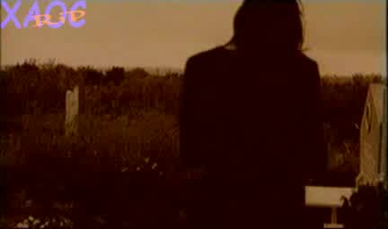Радо Шишарката - Бели Птици И Куршуми