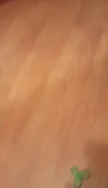 Котка играе със спинър
