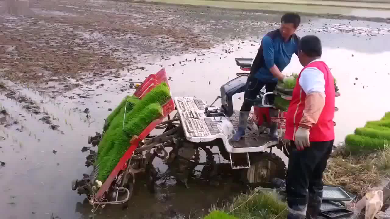 Машина за засаждане на ориз