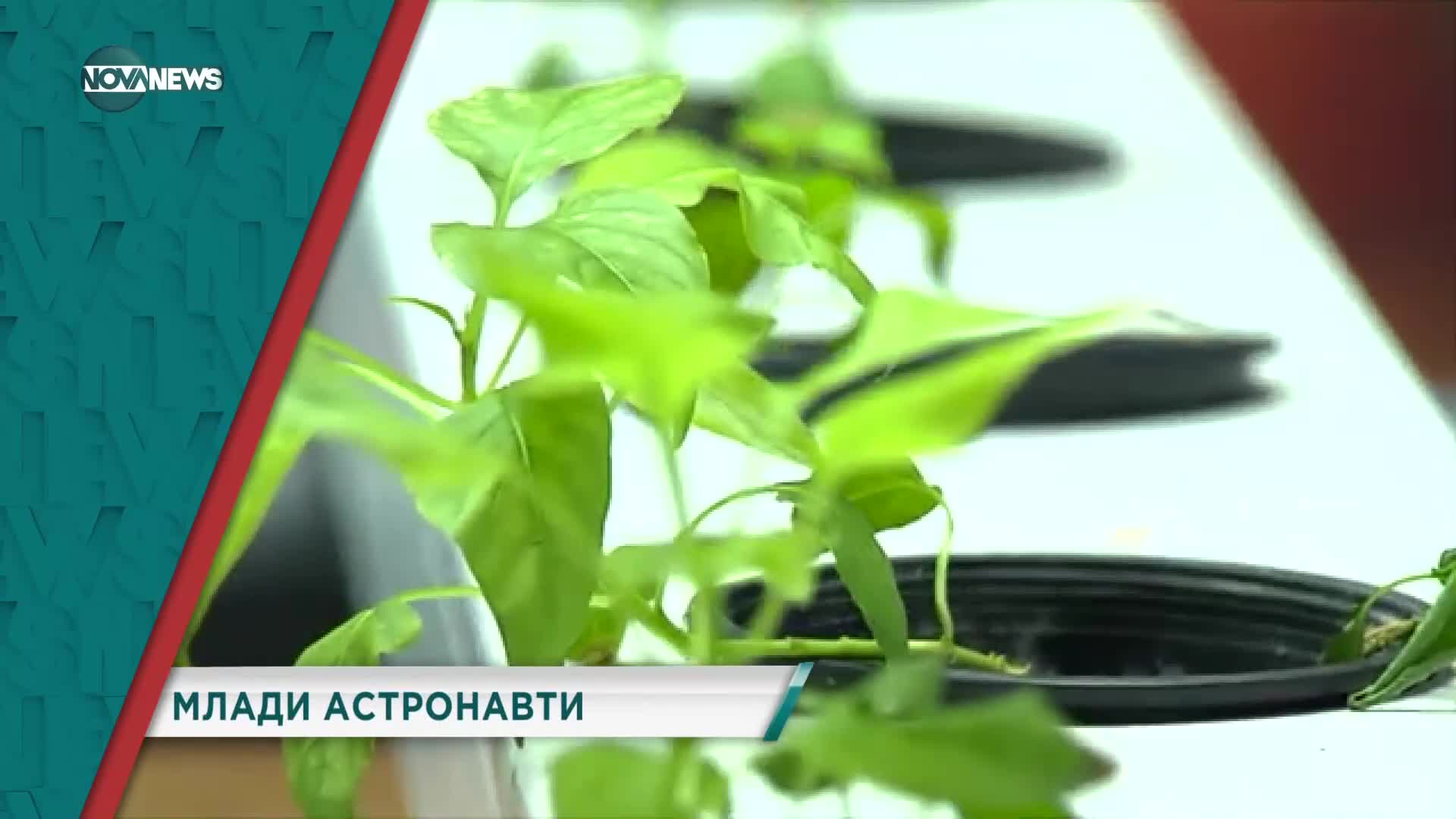 В "Социална мрежа" на 14 януари ще видите