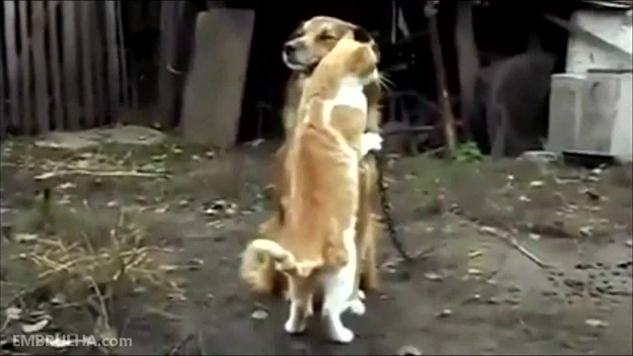 Любовта няма граница !