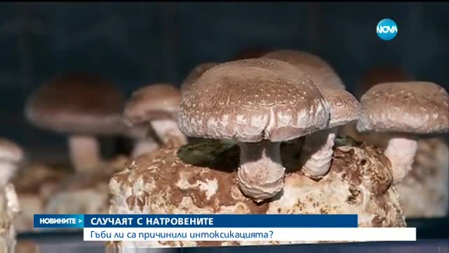 Откриха атропин в кръвта на натровеното семейство