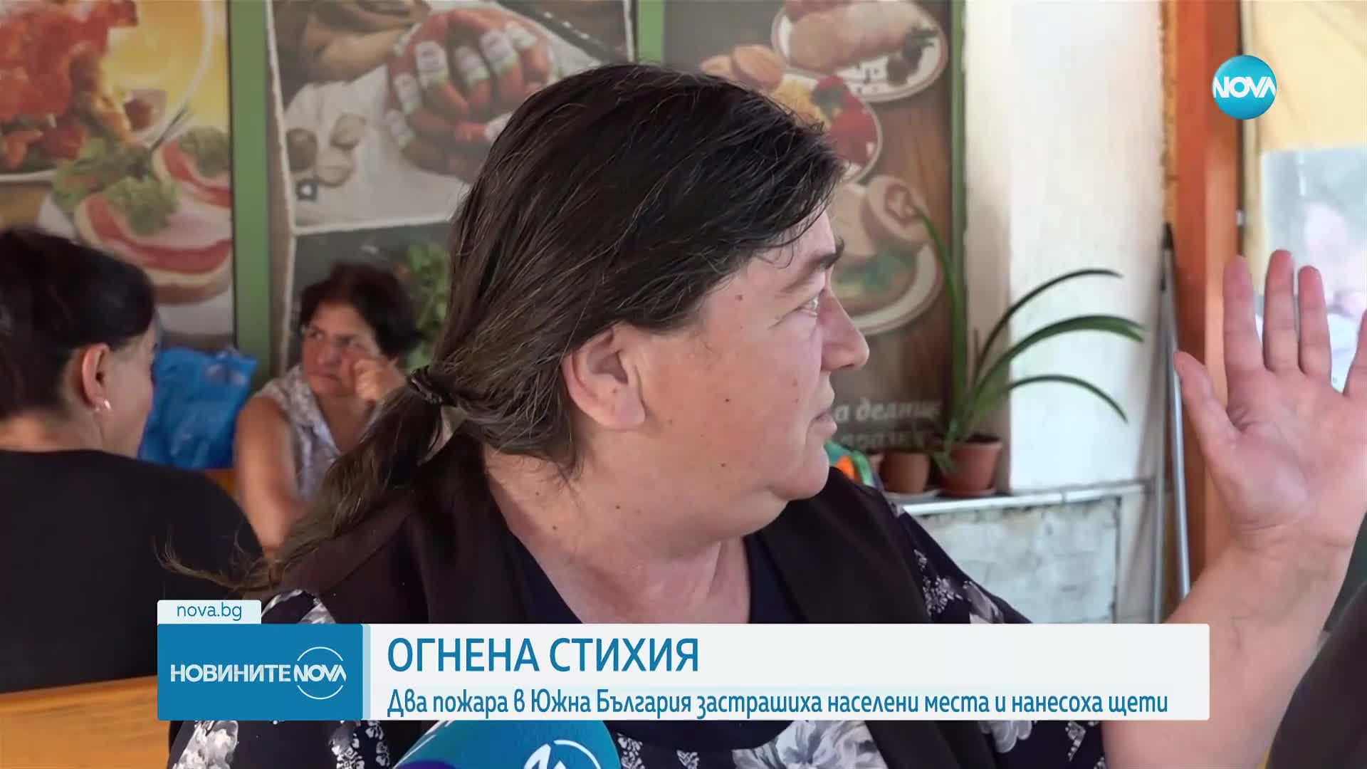 Два големи пожара в Южна България