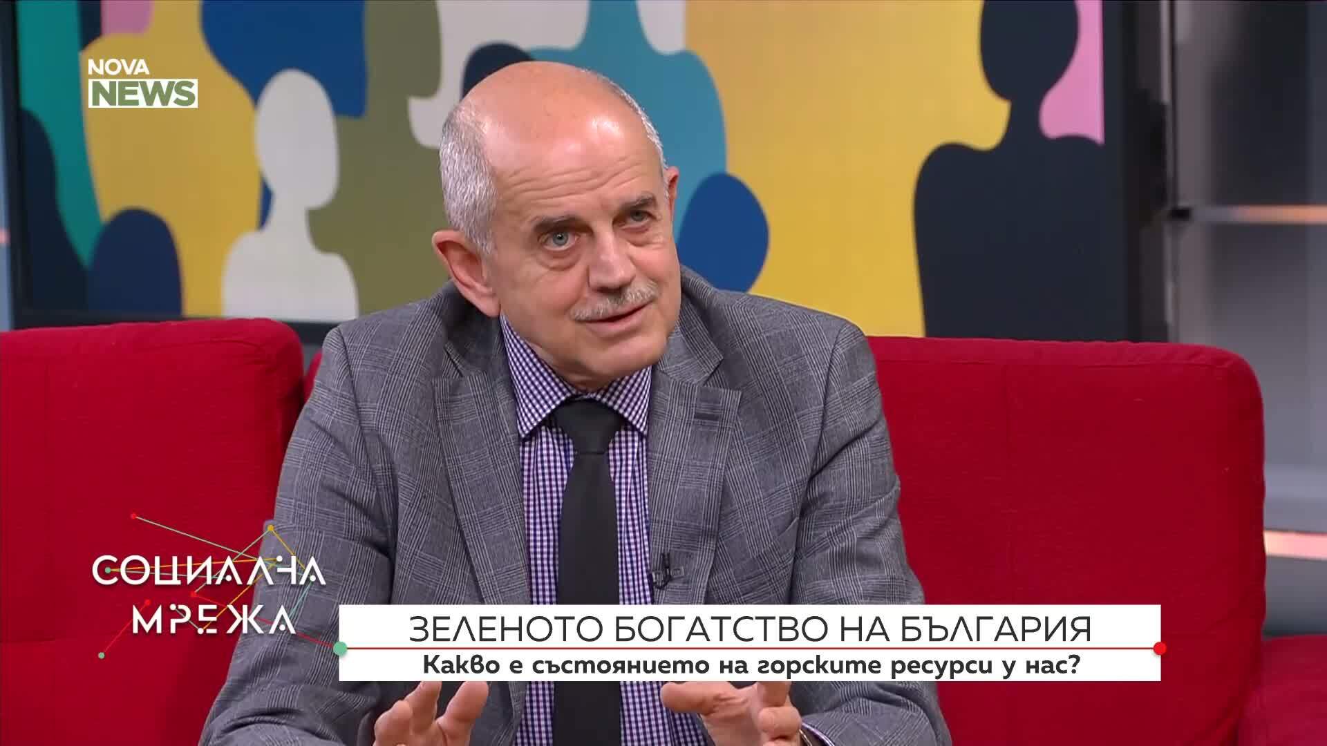 Зеленото богатство на България: Какво е състоянието на горските ресурси у нас