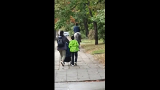 "Моята новина": Абсурдистан