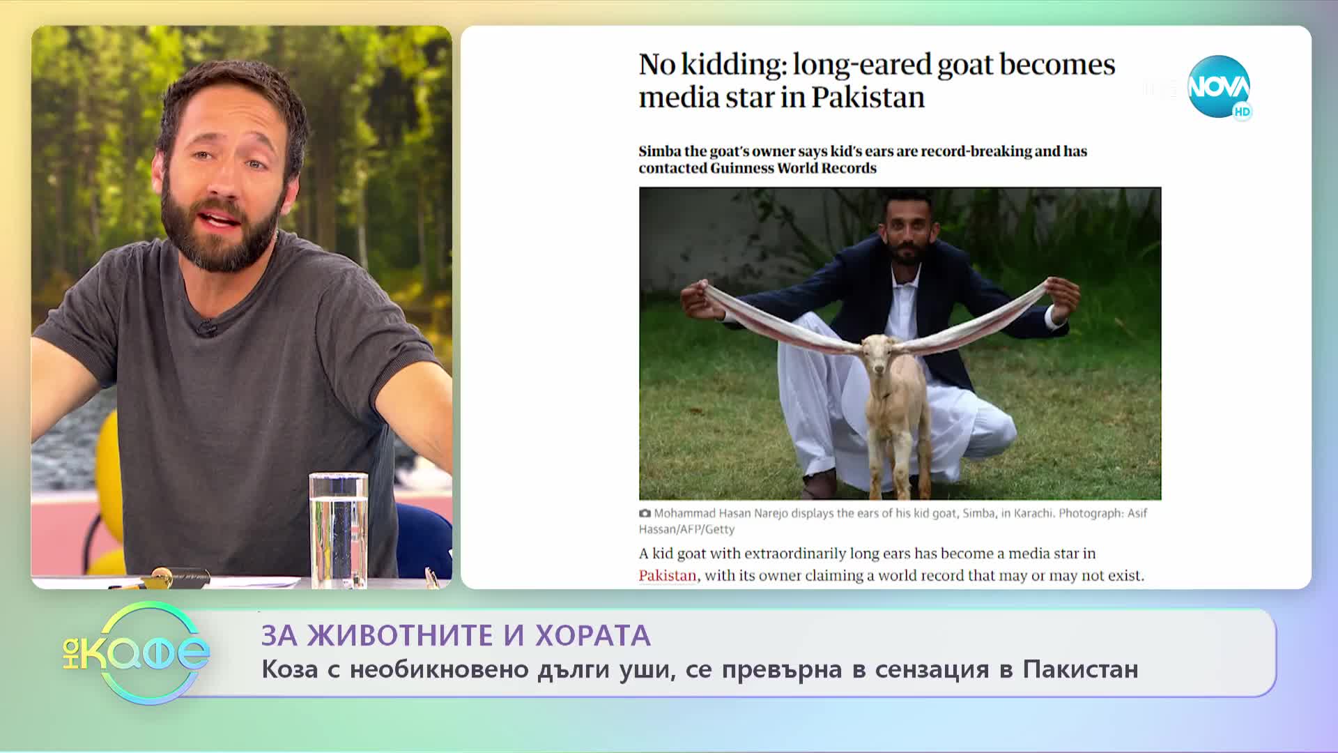 За животните и хората - Коза с необикновено дълги уши, се превърна в сензация в Пакистан - „На кафе”