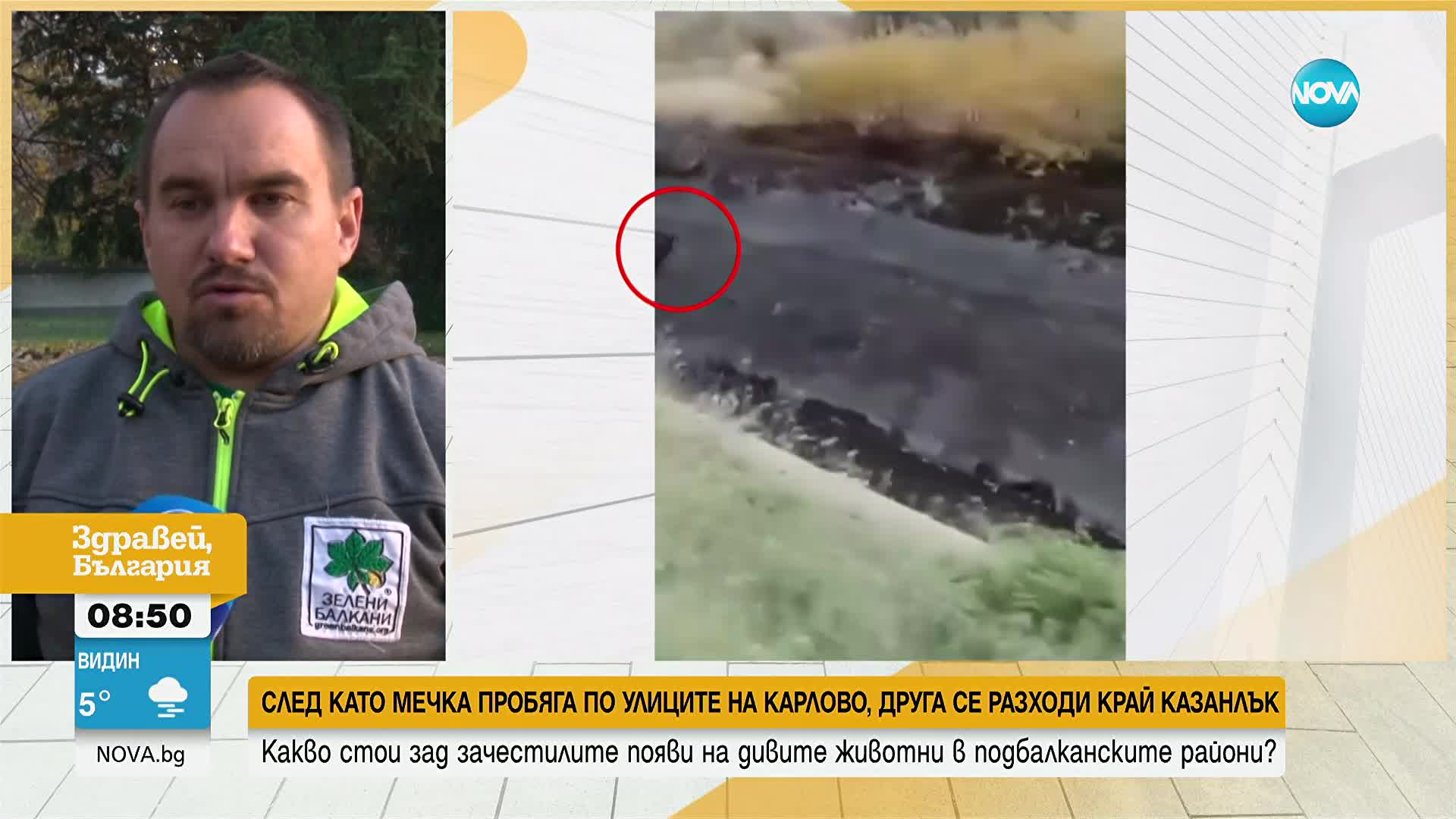 За да избегнем срещата с мечка: Експерт съветва да сме шумни и да си пеем в гората